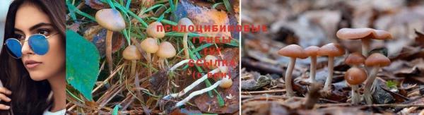 синтетический гашиш Белоозёрский