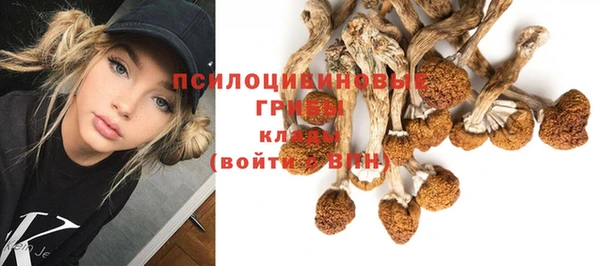 синтетический гашиш Белоозёрский
