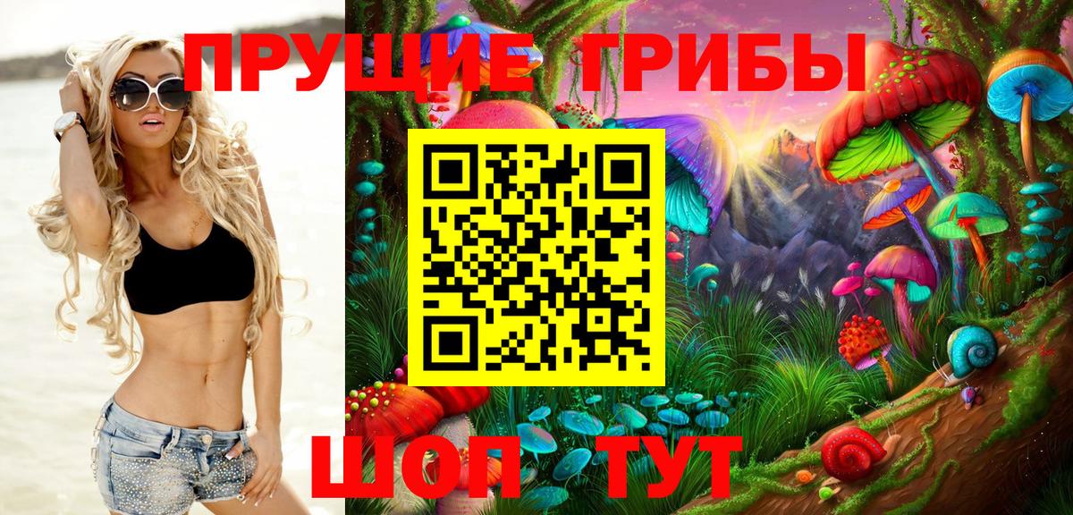 Галлюциногенные грибы Psilocybine cubensis  Вход с VPN  Валуйки 